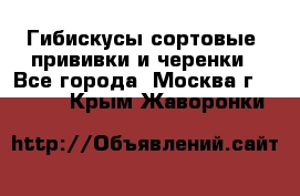 Гибискусы сортовые, прививки и черенки - Все города, Москва г.  »    . Крым,Жаворонки